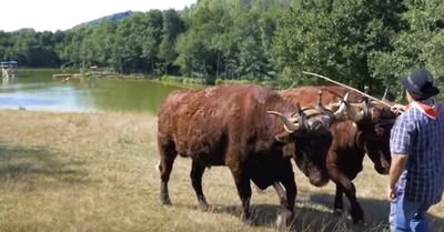 �֥�󥳥�����2