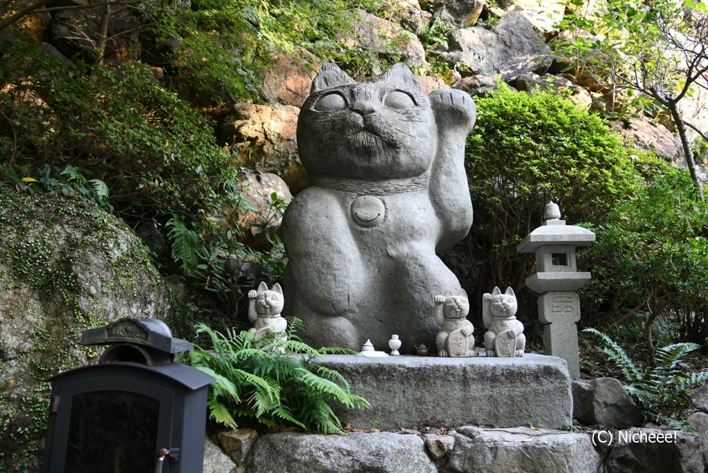 徳島 最新レポ 狛猫も絵馬も 境内に猫 猫 猫だらけの神社 Nicheee ニッチー テレビリサーチ会社がお届けする情報サイト