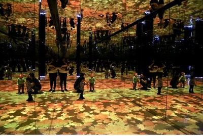 ����ץ���