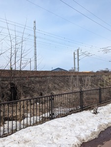 PXL_20250406_011624482.MP