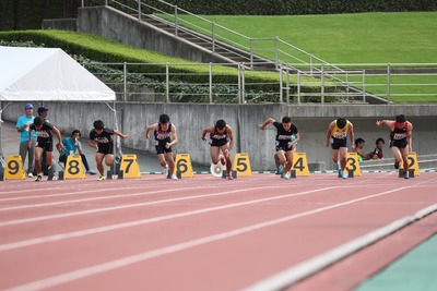 �̿�������