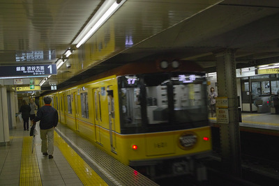 7150836815_56d57fc6ec_c