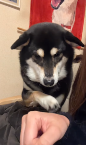 ���ŵ���