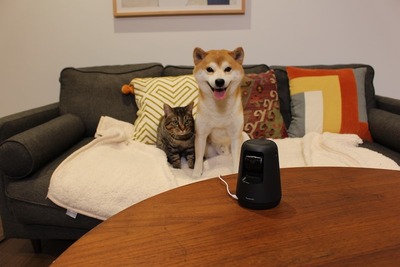 �ѥʥ��˥å���