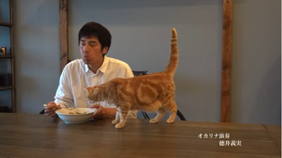 01徳井義実YouTube