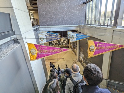 PXL_20231111_235824725