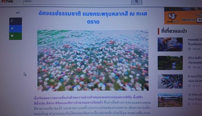 ���饲�̿�