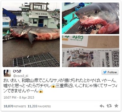 三重県御浜町で揚げられたサメがガチでヤバイ Nicheee ニッチー テレビリサーチ会社がお届けする情報サイト 三重県御浜町で揚げられたサメがガチでヤバイ Nicheee ニッチー テレビリサーチ会社がお届けする情報サイト