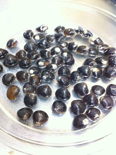 4776118173_2593601bd8_o