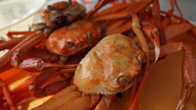 crab-1033446_1920