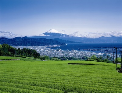 hatake