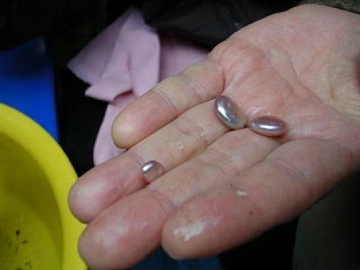 20100720_02