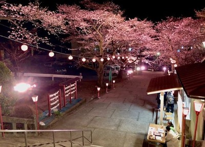 ����ץ���