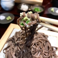 �̿�������������궾��