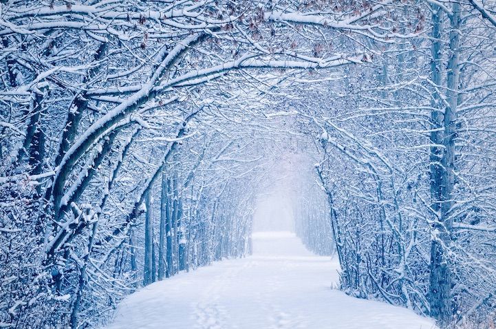 おやすみ前の一枚 息をのむほど美しい雪景色 幻獣が棲みついていそうな銀世界 風速報