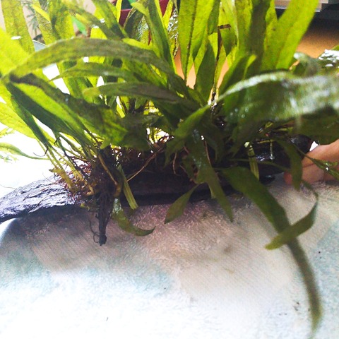 2019-06-02-14-42-48