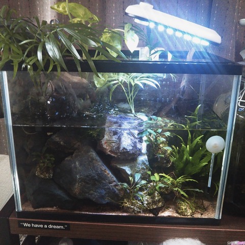 2019-06-09-15-20-33
