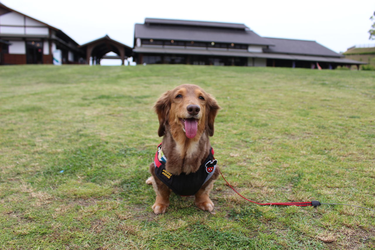 知多市 佐布里緑と花のふれあい公園 に寄ってみたの Fu Maroの足あと