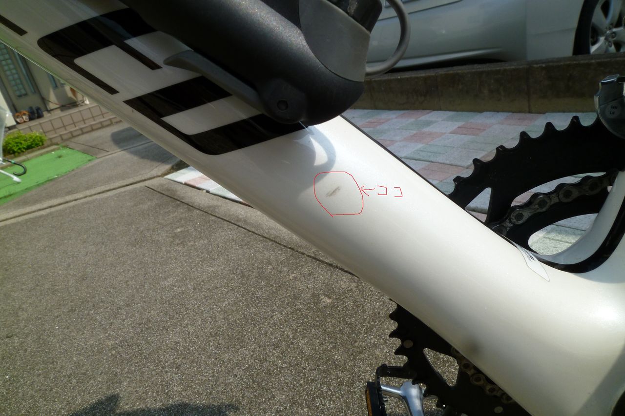 ルーベ点検と庄内川サイクリングロード : まったり気の向くまま