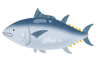 fish_maguro2