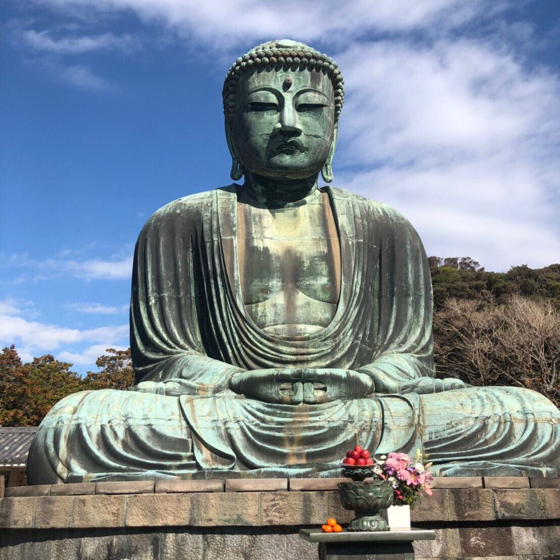 コートをすみれに Fumi12のブログ コートをすみれに Fumi12のブログ