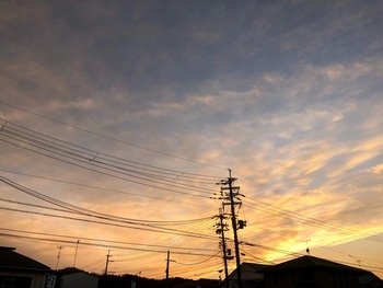 IMG_2001