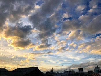 IMG_8959