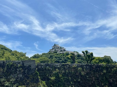 IMG_9076
