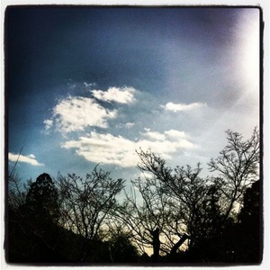 c4199a1f.jpg