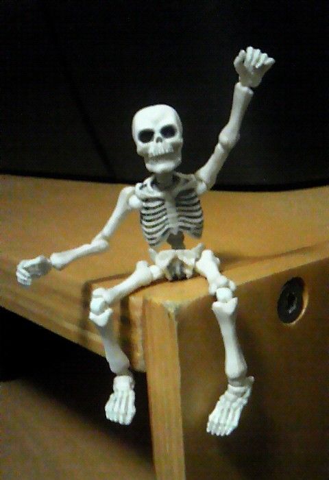 bone