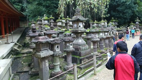 [画像:003bb8f1-s.jpg]