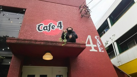 [画像:0cfc4bb2-s.jpg]