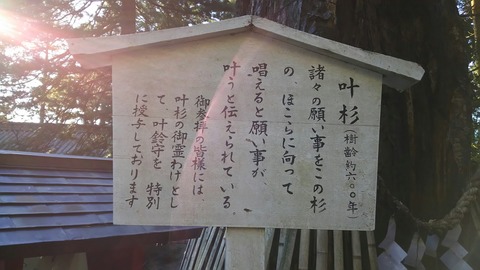 [画像:1e2662df-s.jpg]