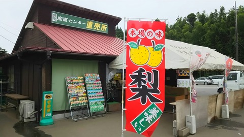 [画像:22f24f33-s.jpg]