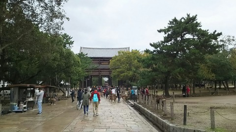 [画像:242e6d9e-s.jpg]