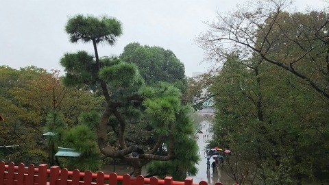 [画像:3b907a4c-s.jpg]