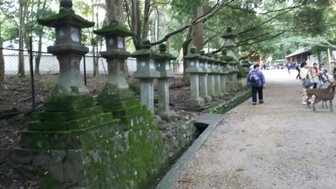 [画像:620f9d91-s.jpg]