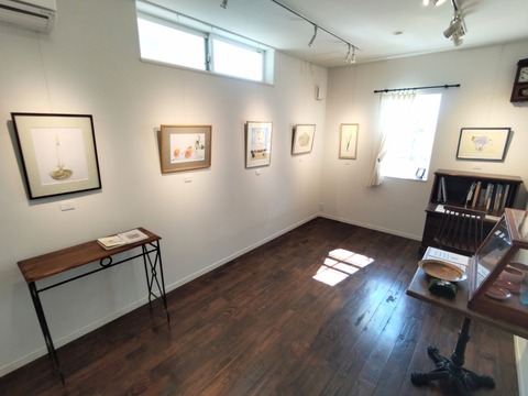 DIAGONAL_0001_BURST20221021114907013_COVER~2