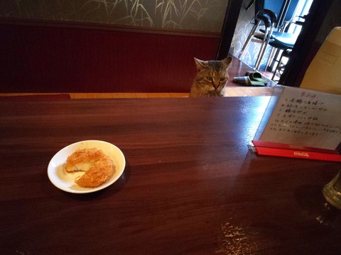 190522_130307_00009949