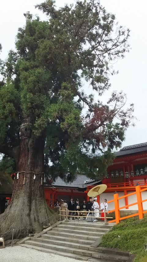 [画像:6e39d4f2-s.jpg]