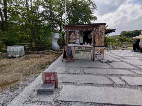 DIAGONAL_0001_BURST20210509141640767_COVER~2