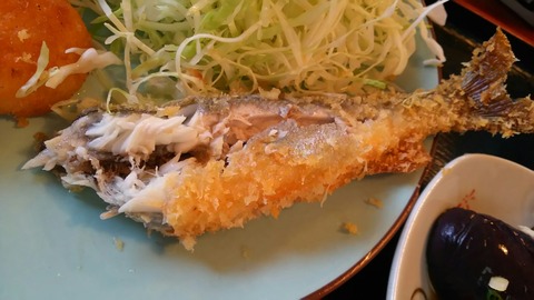 [画像:7828fcf6-s.jpg]