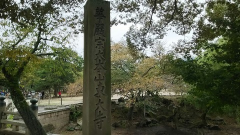 [画像:7f163c71-s.jpg]