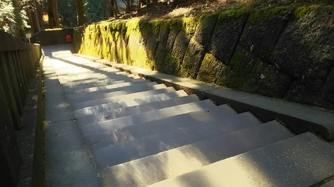 [画像:8801c22d-s.jpg]