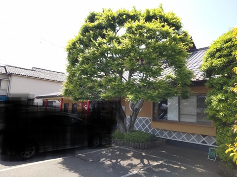 DSC_1207~3