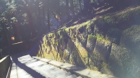 [画像:99013444-s.jpg]