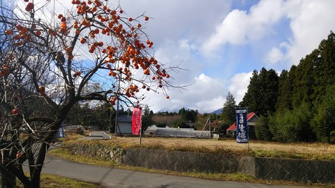 [画像:99f060d3-s.jpg]