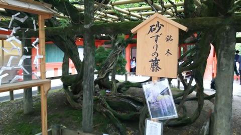 [画像:9ec090b4-s.jpg]