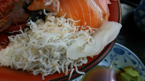 [画像:a1f8cd06-s.jpg]