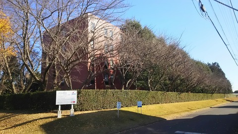 [画像:a819dfb8-s.jpg]